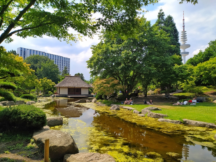Jardín japonés Planten un Blomen