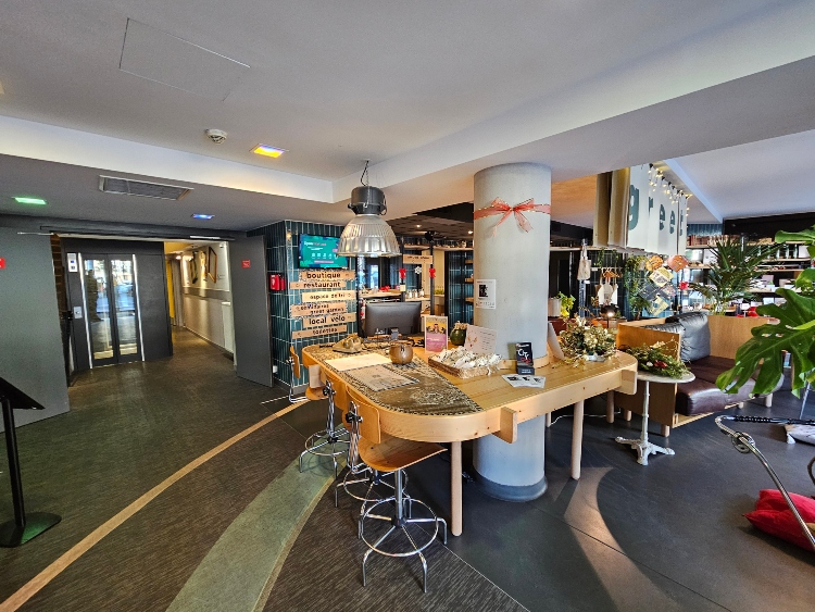 recepción Greet Hotel Lyon Confluence