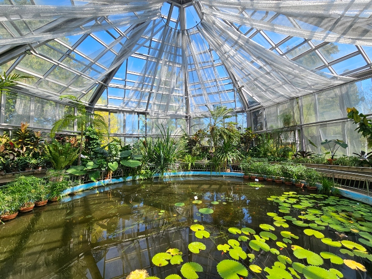 Cluj-Napoca Jardín Botánico Invernadero
