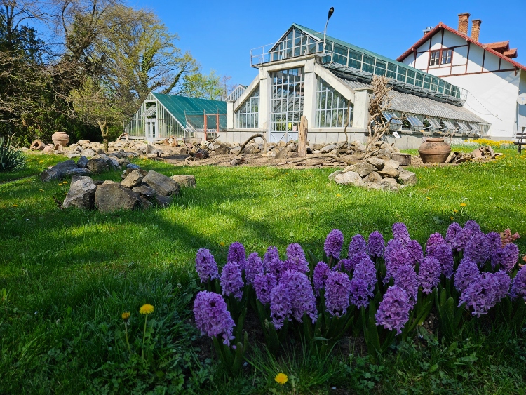 Jardín Botánico Cluj-Napoca