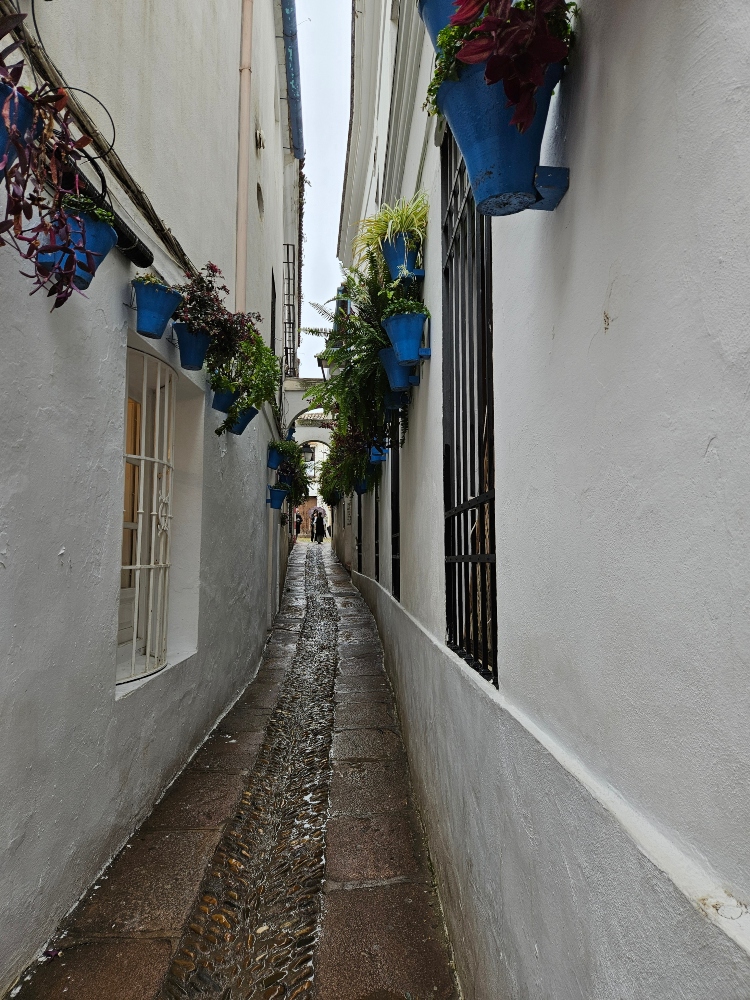 Calleja de las flores