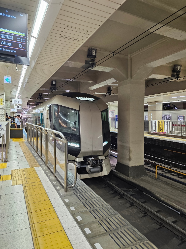 Coger un tren en japón
