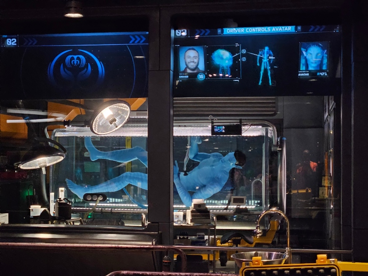 Magic Kingdom avatar