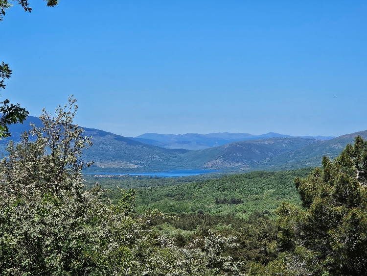 Ruta puente de la angostura