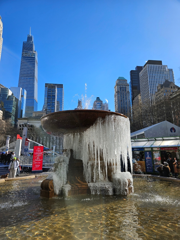 Nueva York en invierno