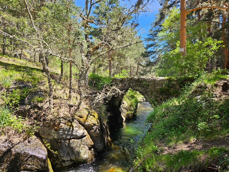 Ruta puente de la angostura