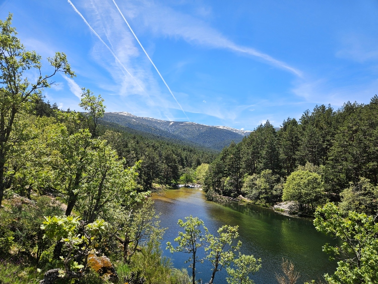 Ruta puente de la angostura